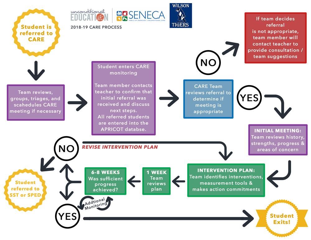 Wilson care process flow chart