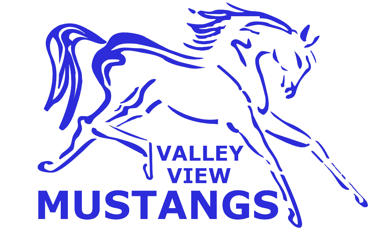  Valley View Logo